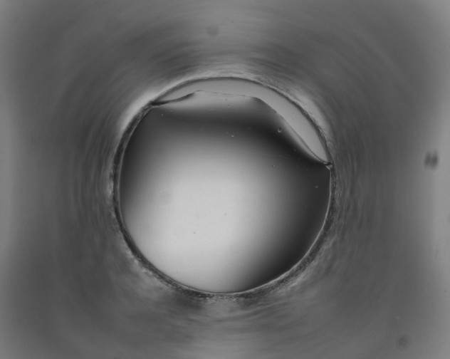 X0000092260944200709281201