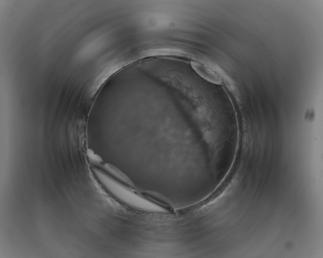 X0000092260945200709281201