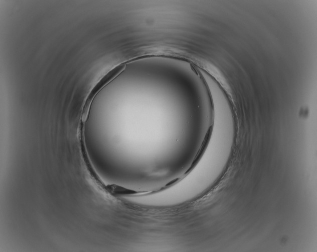 X0000092260946200709281201