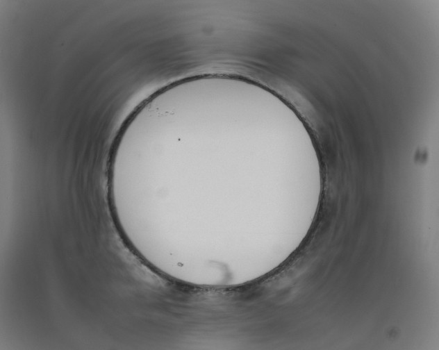 X0000092260950200709281201