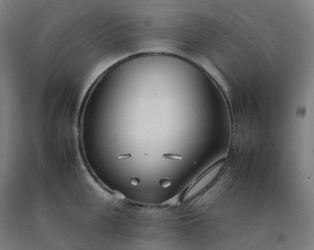 X0000092260951200709281201