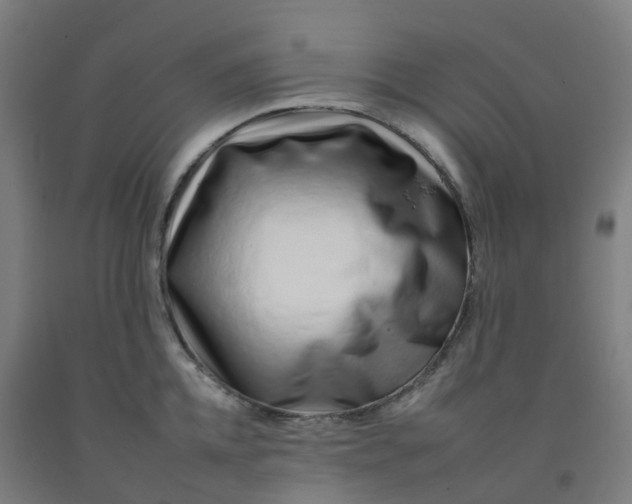 X0000092260952200709281201