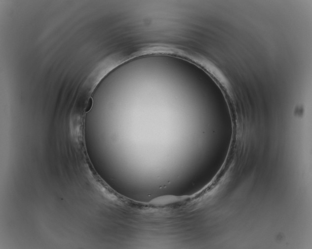 X0000092260953200709281201