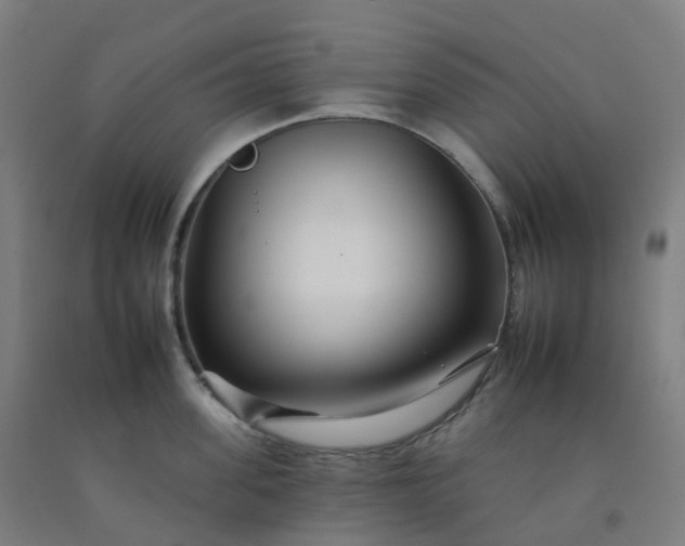 X0000092260955200709281201