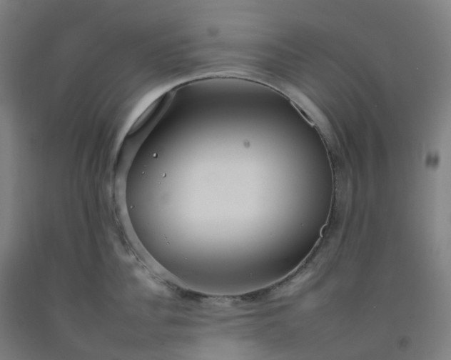 X0000092260956200709281201