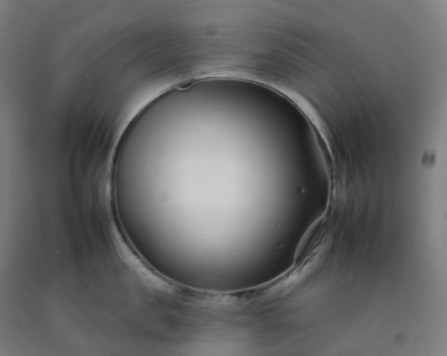 X0000092260957200709281201