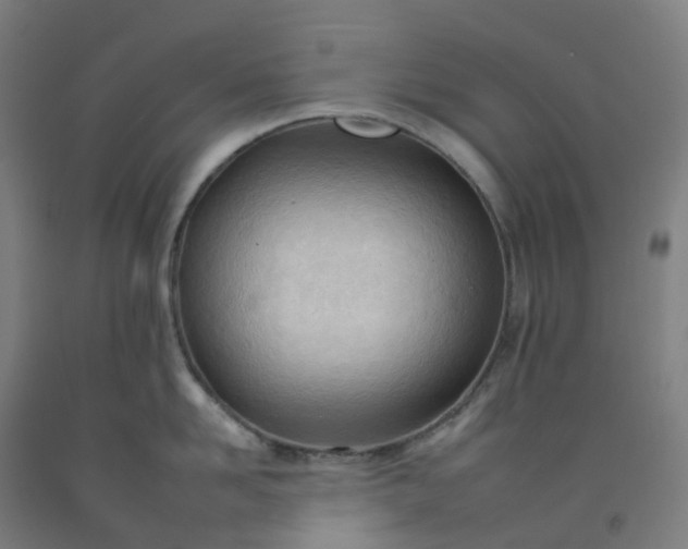 X0000092260958200709281201