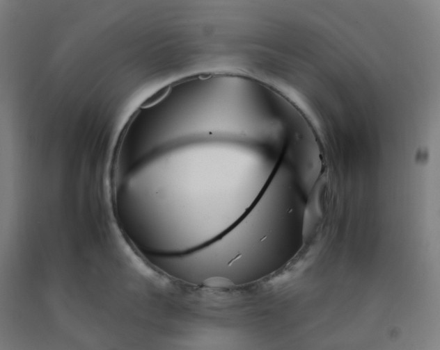 X0000092260959200709281201