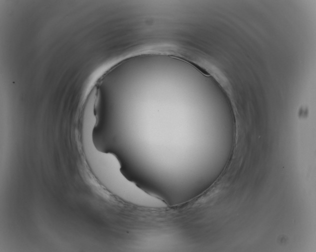 X0000092260960200709281201