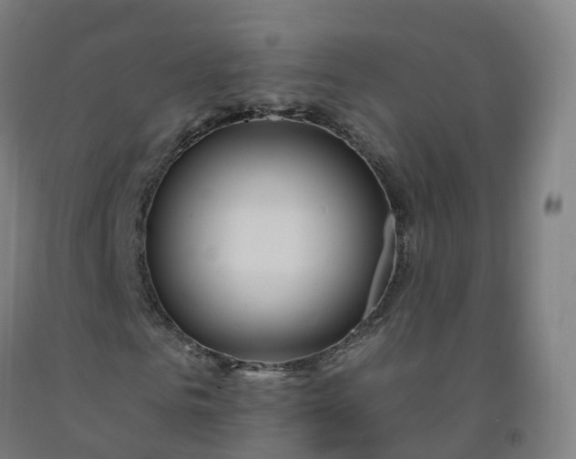 X0000092260961200709281201