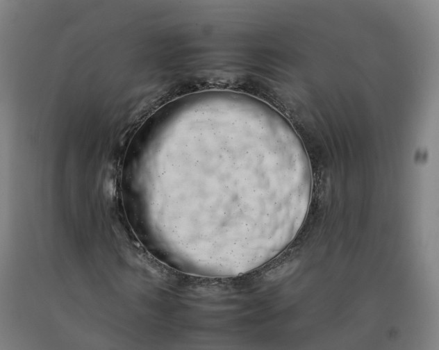 X0000092260962200709281201