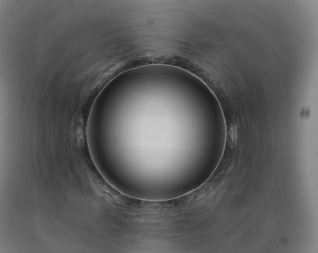 X0000092260963200709281201