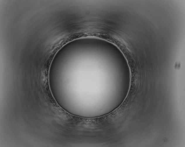 X0000092260966200709281201