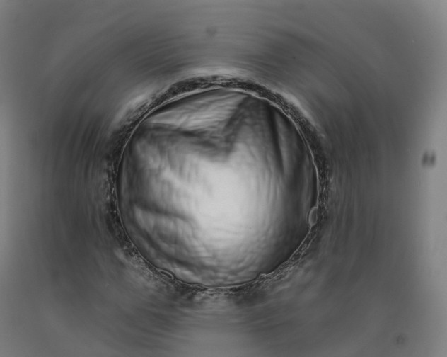 X0000092260967200709281201