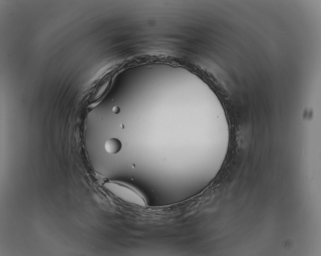 X0000092260968200709281201