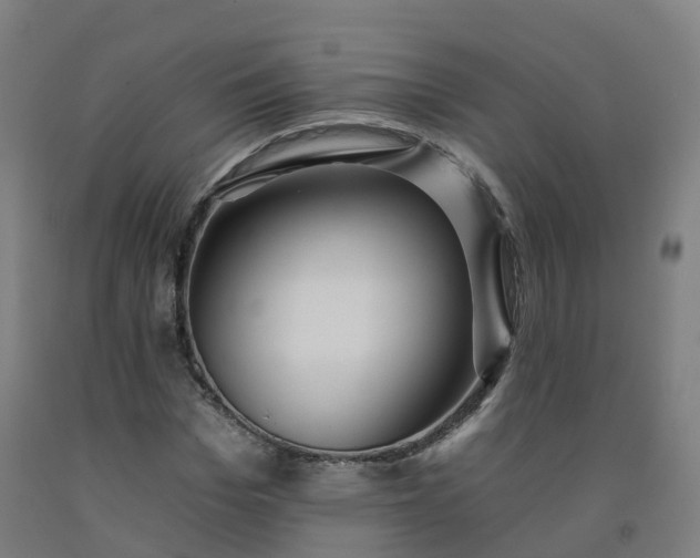 X0000092260969200709281201