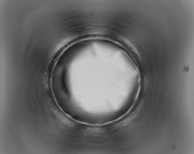 X0000092260970200709281201