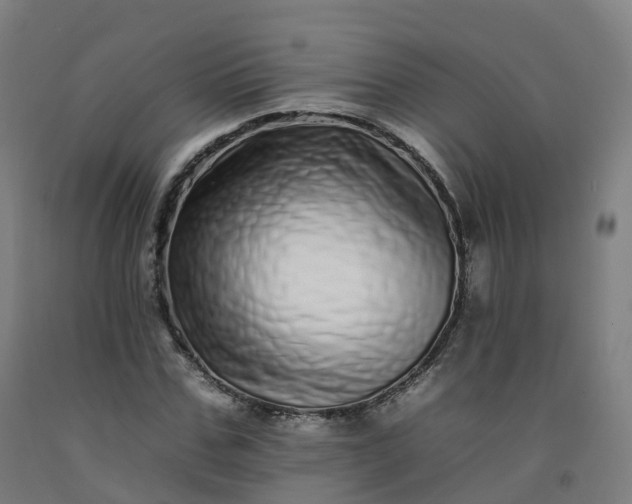 X0000092260971200709281201