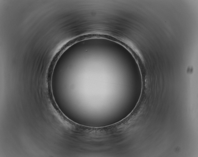 X0000092260972200709281201