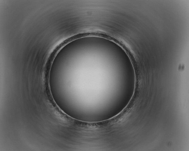 X0000092260975200709281201