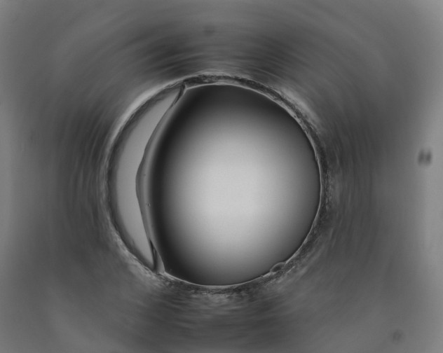 X0000092260976200709281201