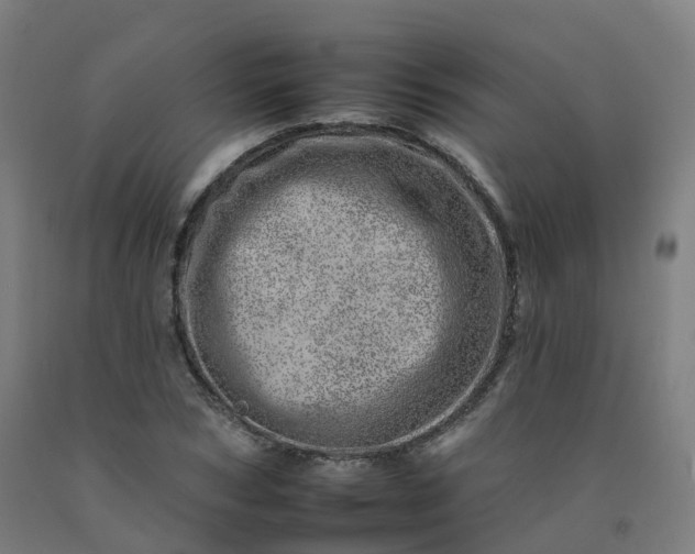 X0000092260978200709281201