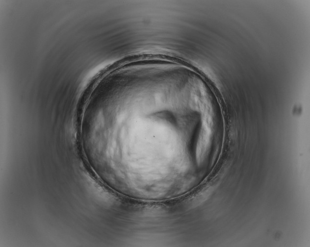 X0000092260979200709281201