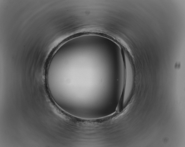 X0000092260981200709281201