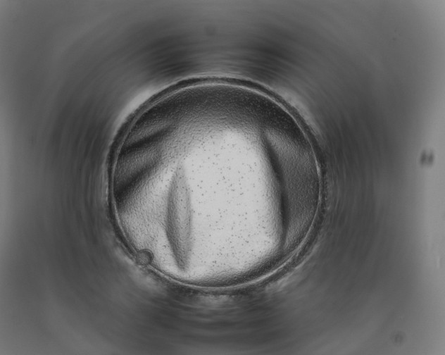 X0000092260982200709281201