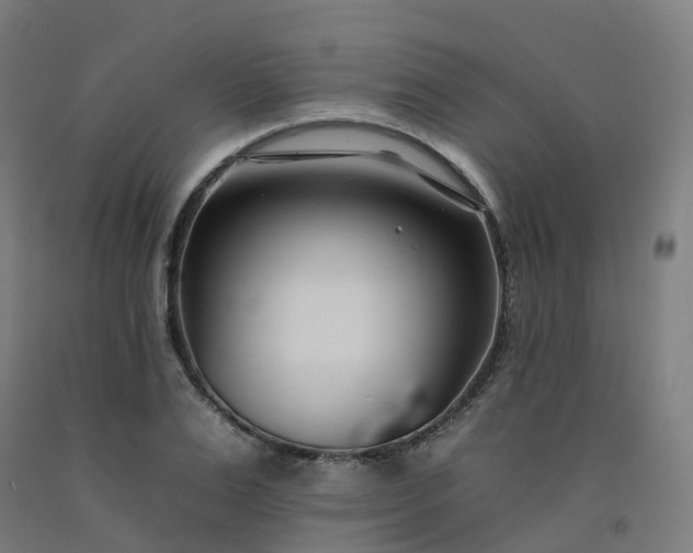 X0000092260983200709281201