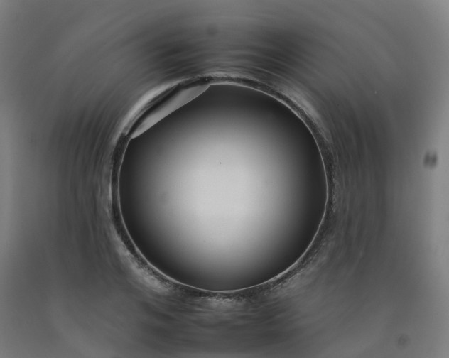 X0000092260984200709281201