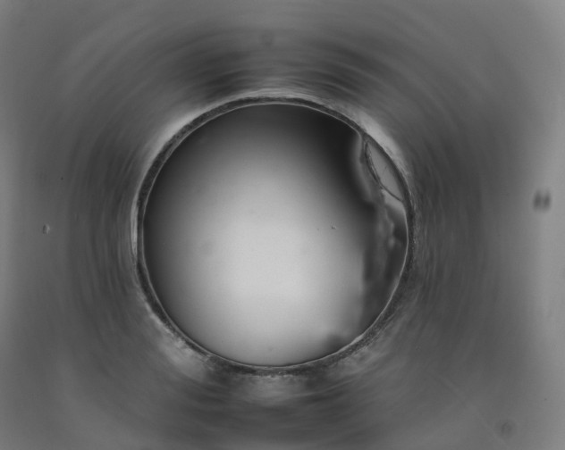 X0000092260988200709281200