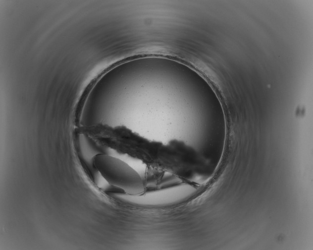 X0000092260989200709281200