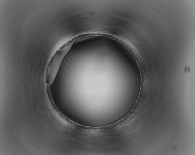 X0000092260990200709281200