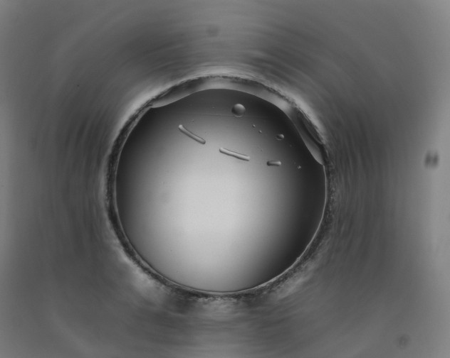 X0000092260991200709281200