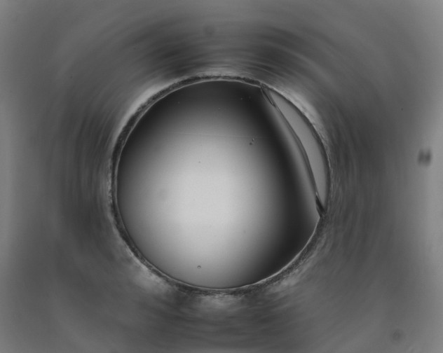 X0000092260992200709281200