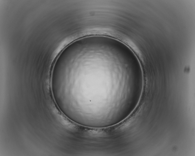 X0000092260994200709281200