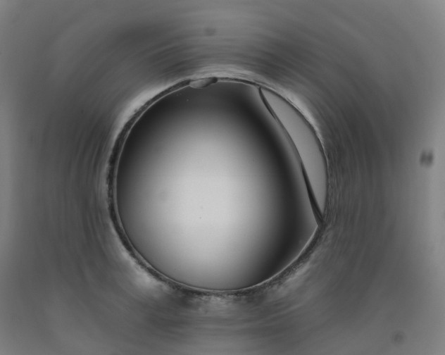 X0000092260995200709281200