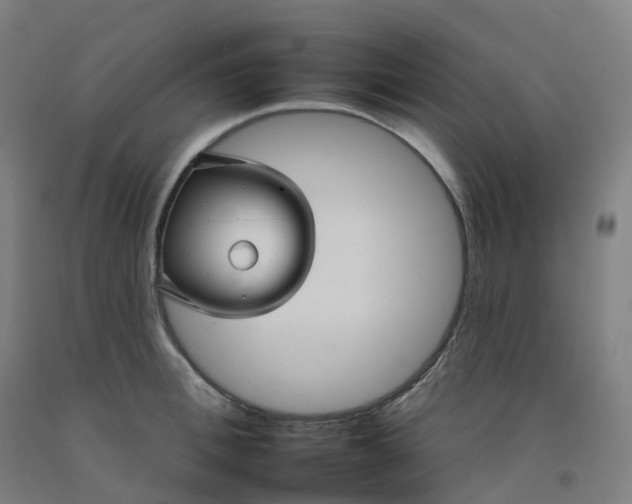 X0000092260996200709281200