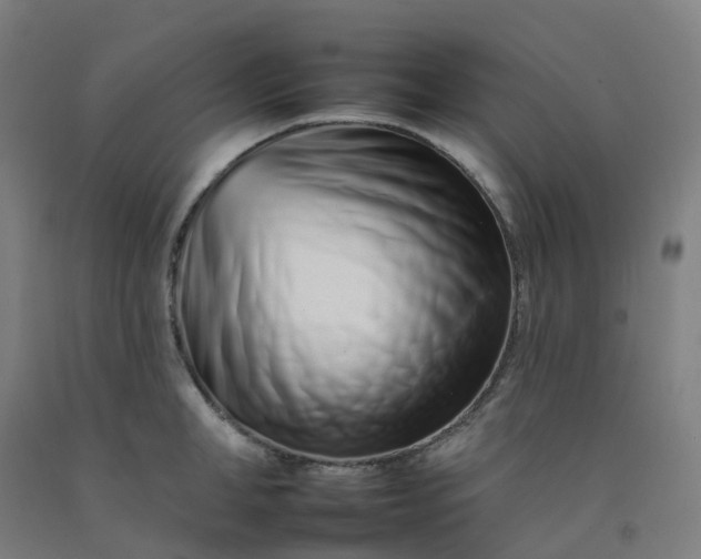 X0000092260998200709281200