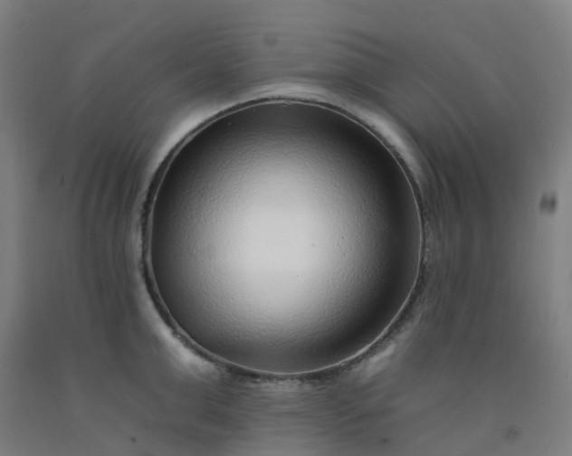 X0000092260999200709281200