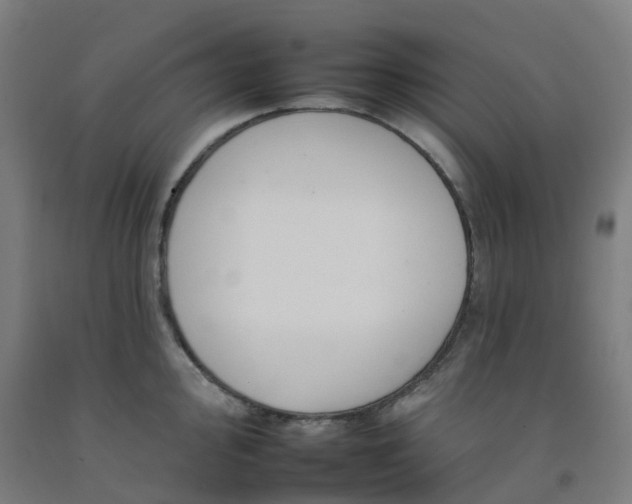 X0000092261000200709281200