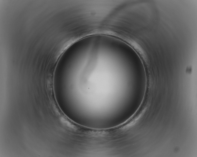 X0000092261001200709281200