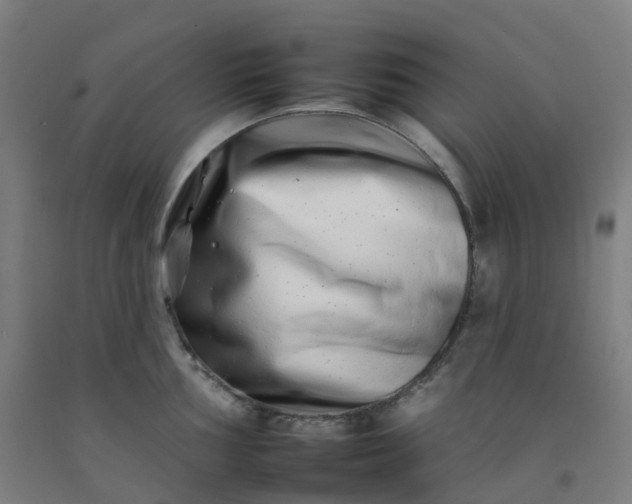 X0000092261002200709281200