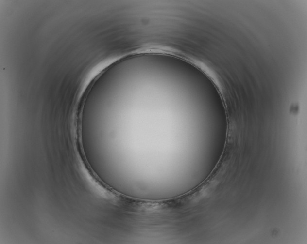 X0000092261003200709281200