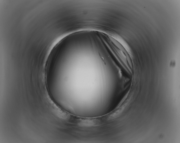 X0000092261004200709281200