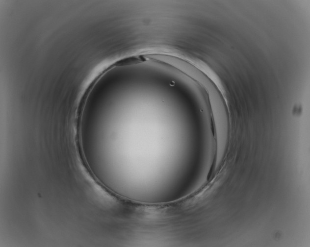 X0000092261005200709281200