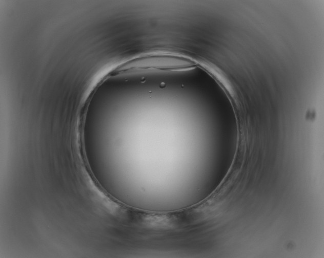 X0000092261006200709281200