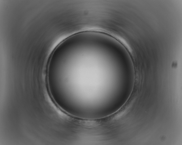 X0000092261007200709281200