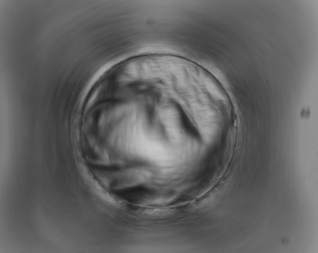 X0000092261008200709281200